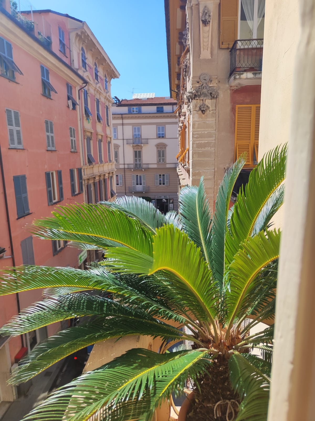 PIENA PROPRIETA CHIAVARI CENTRO  